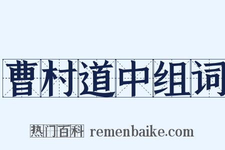 曹村道中组词是什么意思的图片